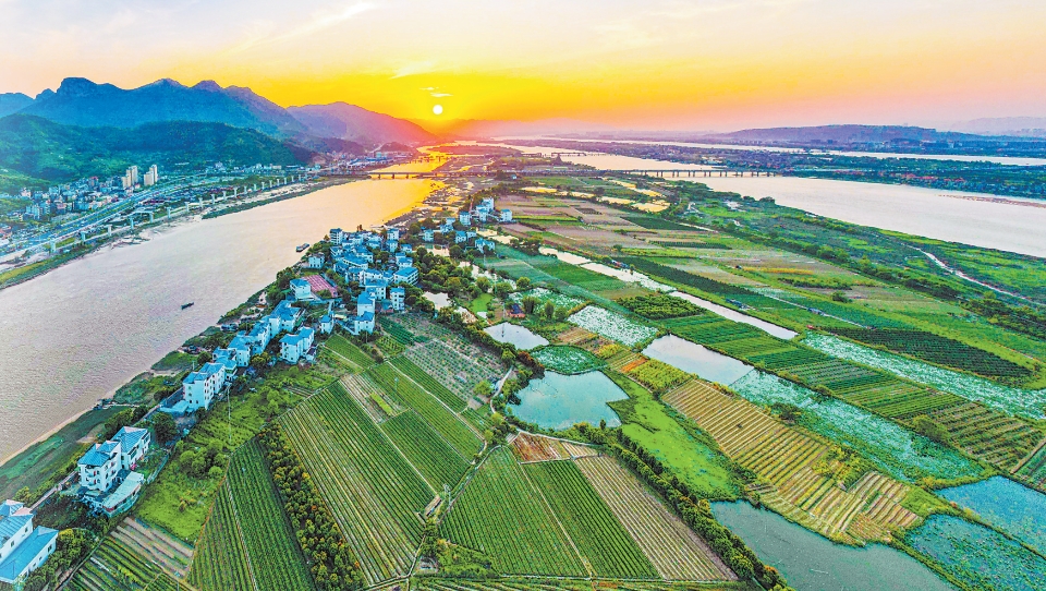 從“垃圾島”到鳥的天堂——塔礁洲濕地的可持續發展實踐_fororder_1111