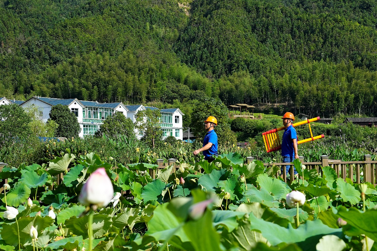福建：中國電信助力數字鄉村建設_fororder_圖片6