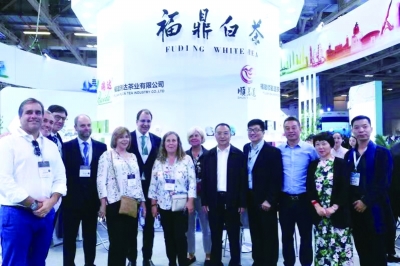 福鼎白茶 從這裡走向世界