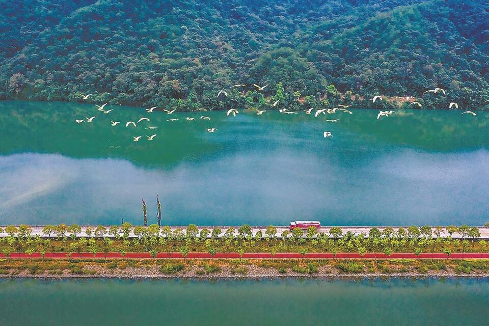 福建三明：出山入海，林業碳票“探路”記_fororder_83134cc3-1298-4ec3-a157-854dbc1337f5