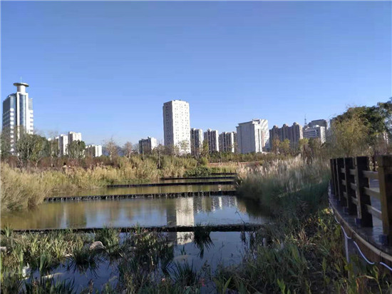 龍岩：巧繪“民生山水畫” 黨群共植幸福花