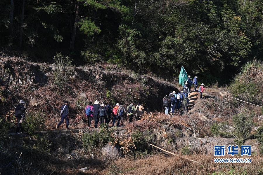 “關注森林 探秘武夷”主題生態科考活動在福建舉行