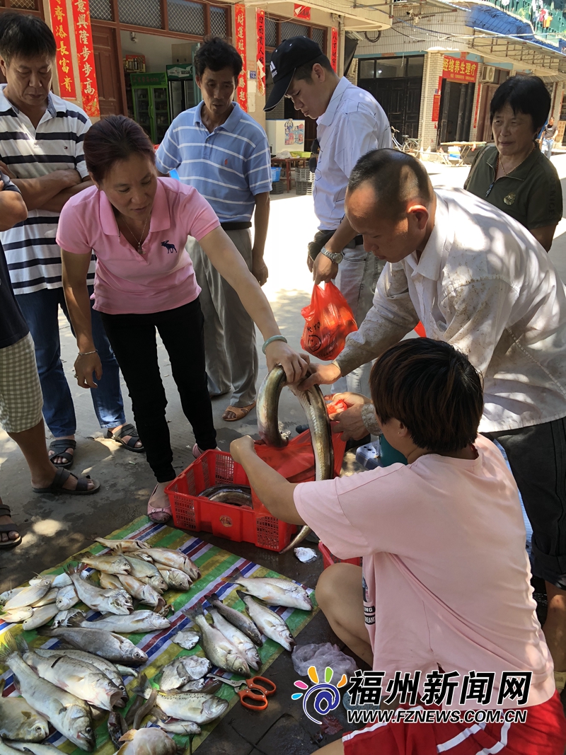 福州壺江漁民捕蟹季：青蟹美味勝過雞