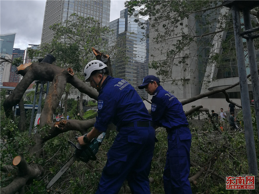 廈門飛鷹救援隊抵達深圳 參與“山竹”災後救援