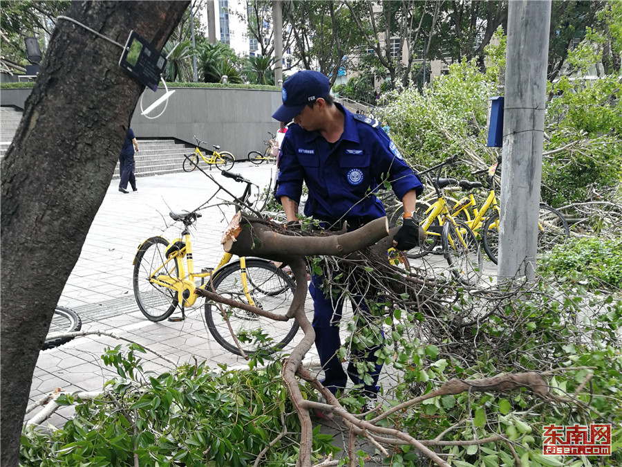廈門飛鷹救援隊抵達深圳 參與“山竹”災後救援