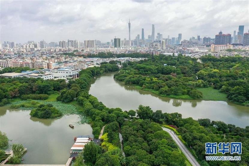 廣州海珠國家濕地公園將代表中國角逐“迪拜獎”