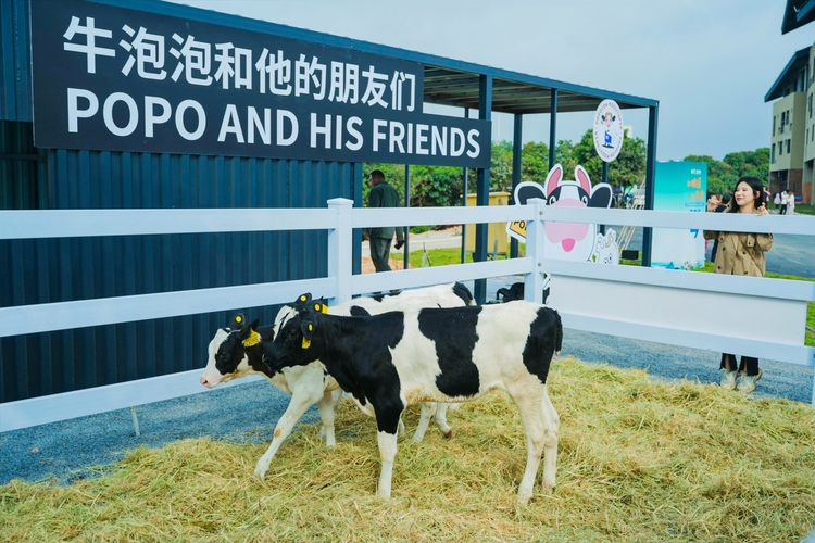 越秀風行國家級田園綜合體項目開園 為廣東文旅再添“新名片”_fororder_微信圖片_20240203152104