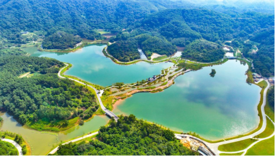 廣州碧道上新！夏日避暑親水首選 全市累計建成碧道1456公里_fororder_避暑6