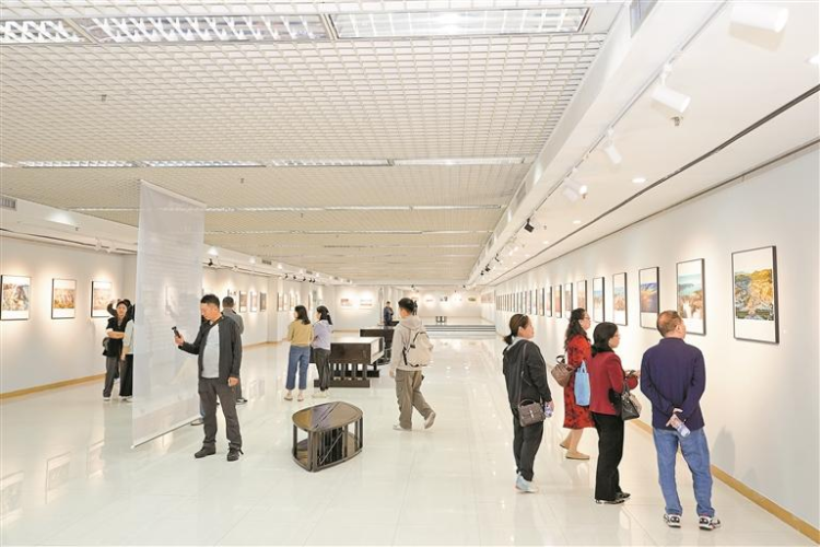 第三屆中國野生動物攝影大展精品巡展在觀瀾美術館啟幕_fororder_圖片1