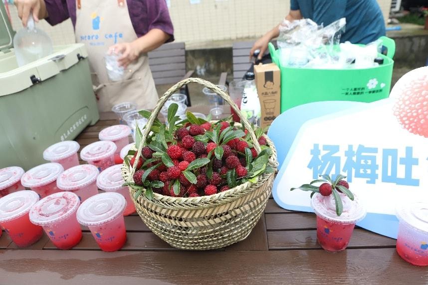 盡享“梅”好時光！從化區良口鎮第十八屆楊梅節啟幕_fororder_180