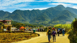 穗北田園展新姿，鏡頭定格豐收景——2025年中國農民豐收節廣州從化全國攝影作品展圓滿收官