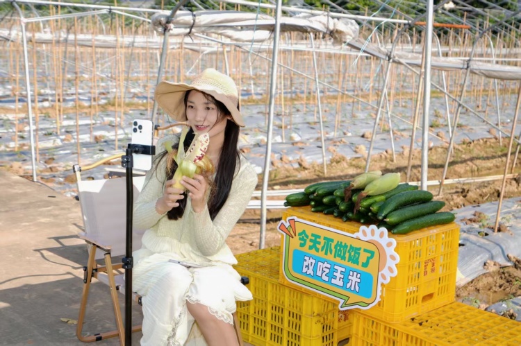 走進金秋豐收集市，南沙鮮食玉米“火”出圈_fororder_微信圖片_20251020154604_1498_92