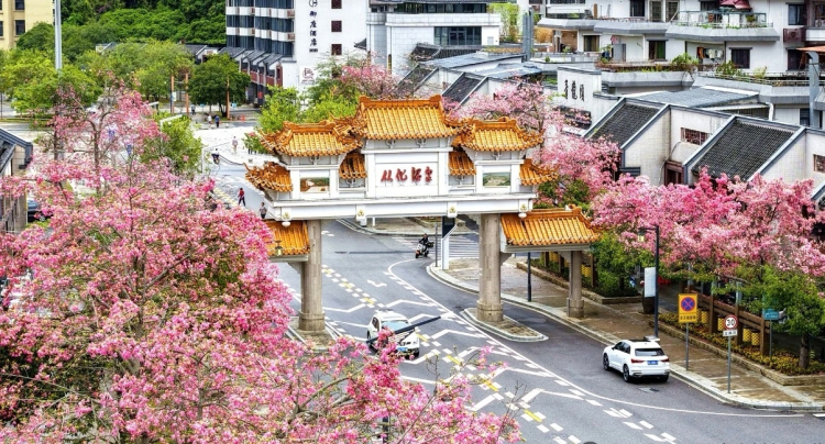你好，這裡是從化！