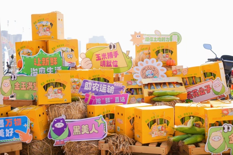 走進金秋豐收集市，南沙鮮食玉米“火”出圈_fororder_微信圖片_20251020154616_1500_92