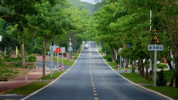 圖片默認標題