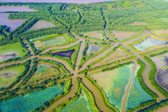 紅樹林面積全國第一，廣東省啟動2025年濕地保護宣傳周_fororder_54849849_7739888e-c959-49c9-83e5-94b0cc9c91b2_zsize