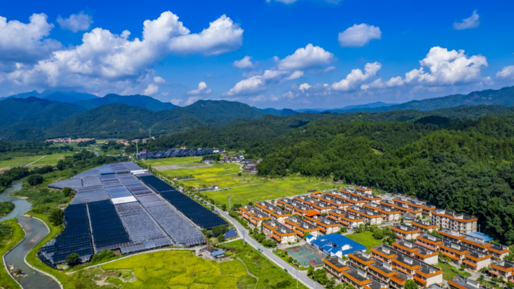 巾幗巧手扮靚方寸庭院，“五美”畫卷鋪展綠美廣州_fororder_庭院8