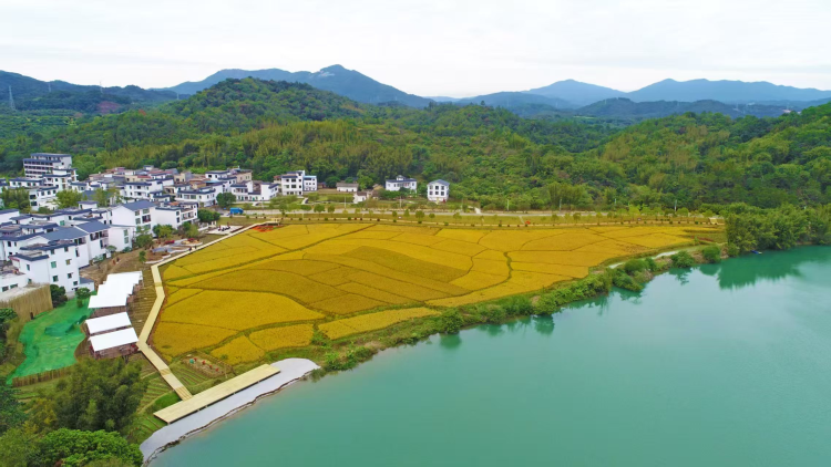 從化四徑：綠水青山向金山銀山的轉化之道_fororder_噢噢2