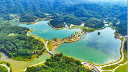 廣州碧道上新！夏日避暑親水首選 全市累計建成碧道1456公里