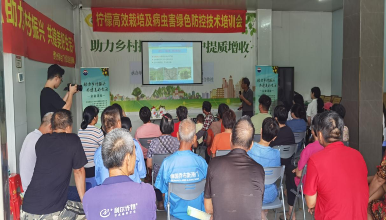 枝葉關情 實事暖心：鐘落潭鎮“民生微實事”繪就幸福新圖景_fororder_枝葉4