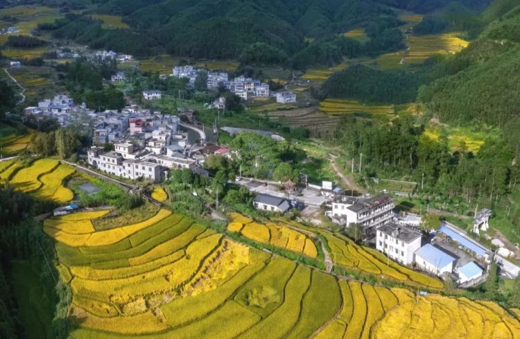 全國文明村！黑山村深化“五大行動”打造宜居宜業和美鄉村｜創建助力“百千萬”_fororder_微信圖片_20250627070359
