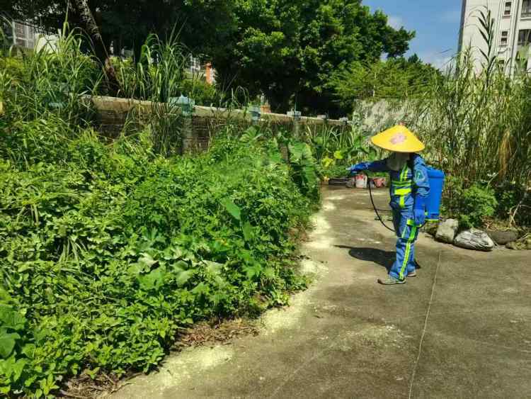 廣州城管：開展環境衛生整治工作 築牢“兩熱”防控屏障_fororder_圖片5