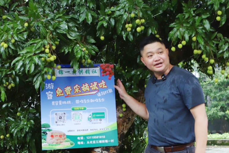 從化荔枝：從石門古道到世界果籃_fororder_荔枝7