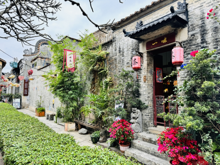 巾幗巧手扮靚方寸庭院，“五美”畫卷鋪展綠美廣州_fororder_庭院7