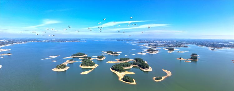 廣東最美水源地|守護湛江“大水缸”：科技聯防築牢粵西400萬人水源安全防線_fororder_微信圖片_20250629104340