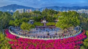 深圳公園百年變遷：從中山公園到千園之城的綠色傳奇
