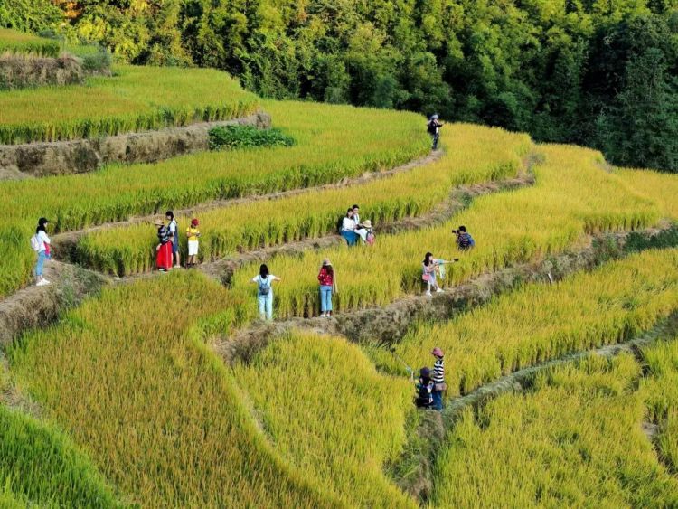 全國文明村！黑山村深化“五大行動”打造宜居宜業和美鄉村｜創建助力“百千萬”_fororder_微信圖片_20250627070502