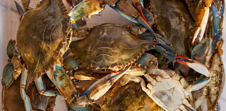 舌尖丈量南沙非遺美食：鹹淡水織就風味圖騰_fororder_8A6E900A-5310-4DF8-8C1F-490BDDC9D120