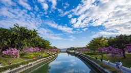 從花園盛宴到綠色典範：深圳書寫生態文明的百年答卷