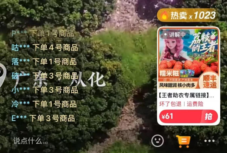 從化荔枝：從石門古道到世界果籃_fororder_荔枝9