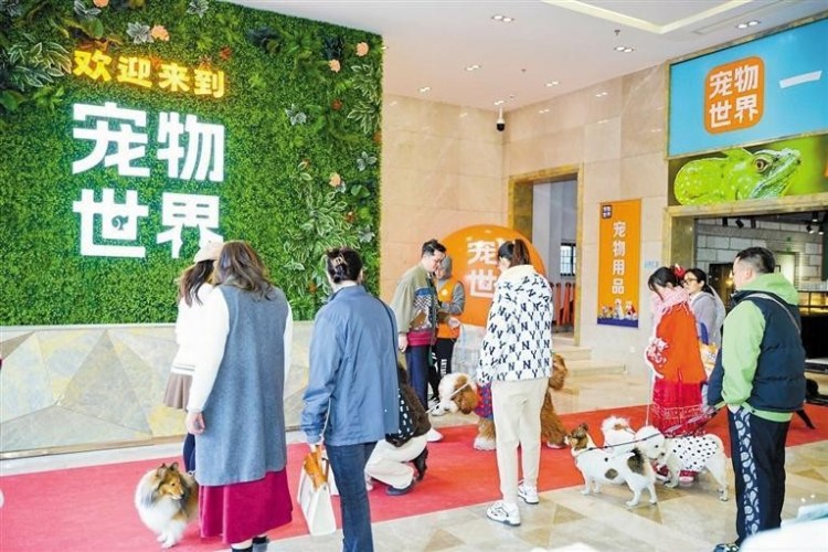 深圳大浪街道搶抓寵物經濟新賽道_fororder_19