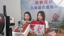 荔枝林裏來了“00後” 南昌理工學子下鄉架起“助農橋”