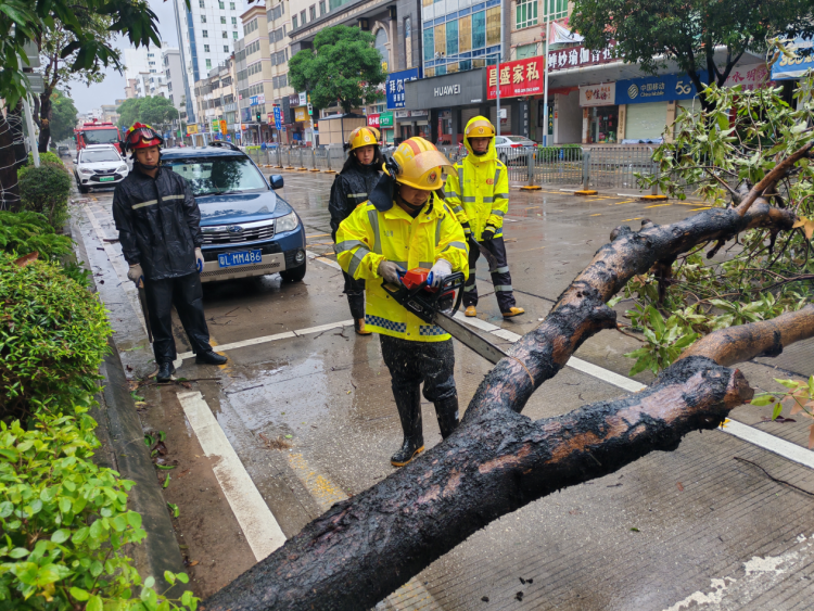 樹數字化創新標杆!南網互聯網公司攜硬核智慧産品點亮2025國際數字能源展_fororder_圖片1