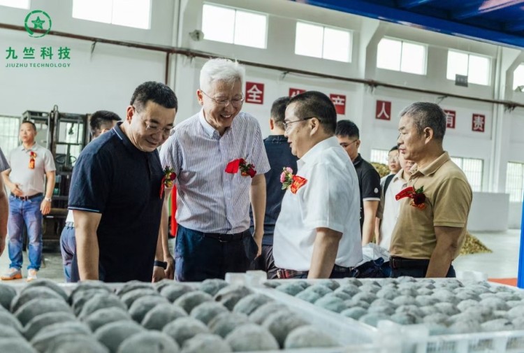 河源崛起“綠色糧倉” ——九竺科技開啟“以竹代糧”産業化新征程_fororder_5