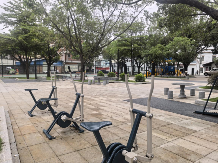 枝葉關情 實事暖心：鐘落潭鎮“民生微實事”繪就幸福新圖景_fororder_枝葉2