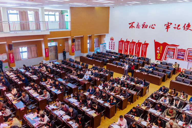 鐘落潭鎮第十九屆人民代表大會第七次會議勝利閉幕_fororder_圖片3