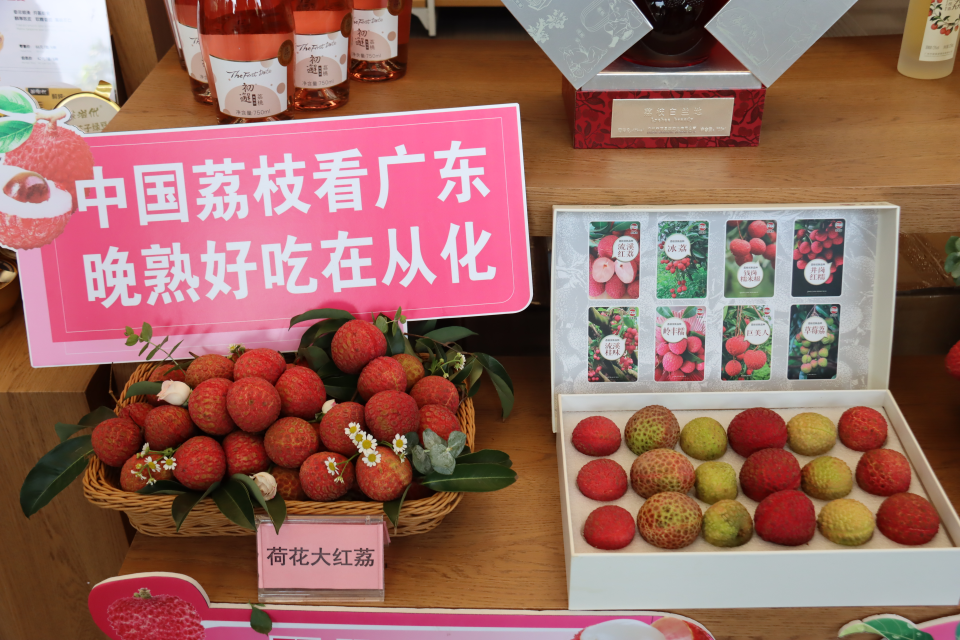 廣州從化荔枝文化旅遊季：世界冠軍代言打響“荔界冠軍品牌”_fororder_圖片3