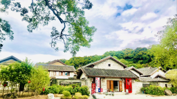 巾幗巧手扮靚方寸庭院，“五美”畫卷鋪展綠美廣州