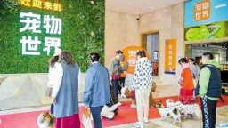 深圳大浪街道搶抓寵物經濟新賽道