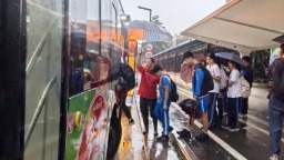 風雨中的平凡英雄—公交人為風雨中的市民撐起愛心傘、清理倒樹、設立愛心雨傘點......