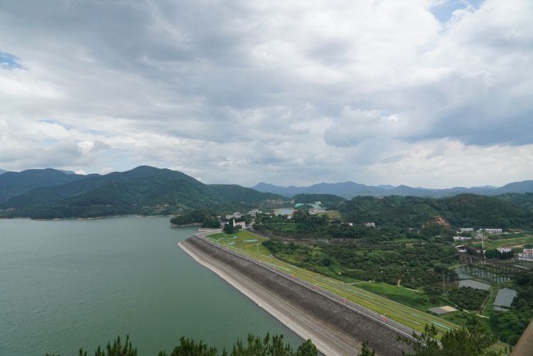 廣東最美水源地之2|高州水庫退還記：百萬畝經濟林變身 粵西“生命庫”守護者_fororder_微信圖片_20250704134520