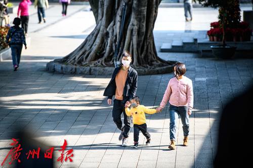 【春天總會來，花兒總會開】荔灣湖粉紫荊與新綠芽