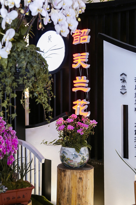 “線上+線下”齊發力 助韶關蘭花走進大灣區人家_fororder_1