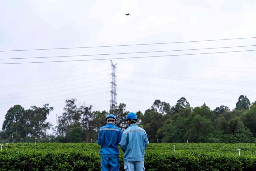 廣東電力部門未雨綢繆為茶葉生産保駕護航