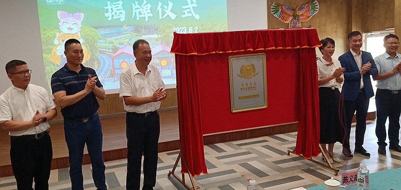 肇慶高要舉辦首屆回龍風箏文化節_fororder_4