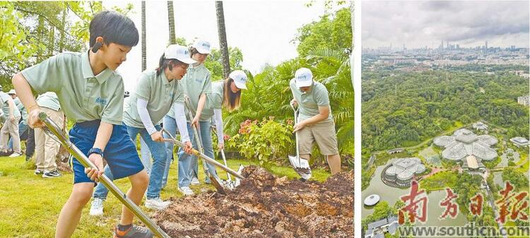 華南國家植物園上半年入園人數同比增46%  “綠美廣東”物種展示園揭牌_fororder_圖片1
